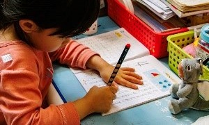 close up of a young student working in a math workbook. There is a grey stuffed animal sitting next to the workbook.